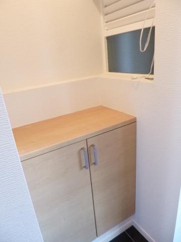 Entrance. Footwear input