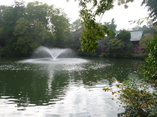 park. To Inokashira Park 100m