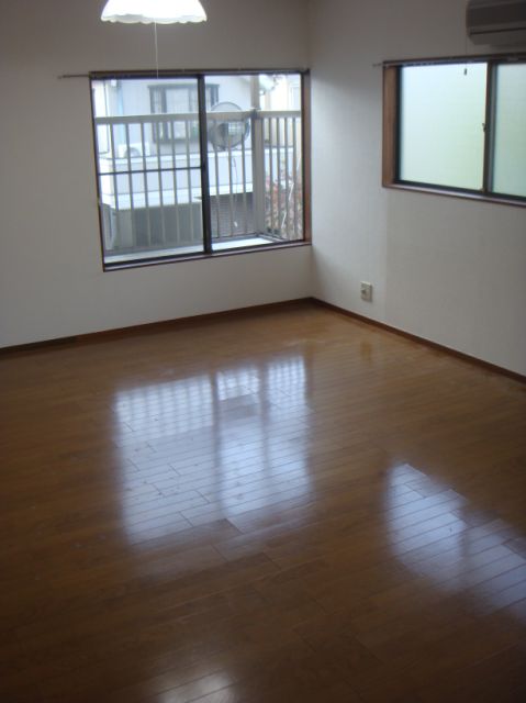 Living and room. Bright room.