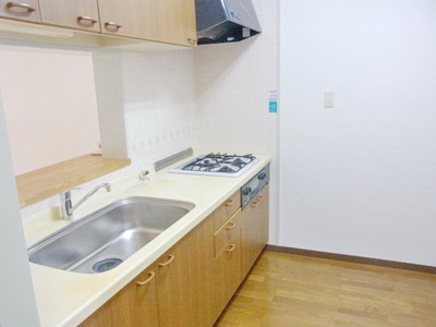 Kitchen. System counter Kitchen