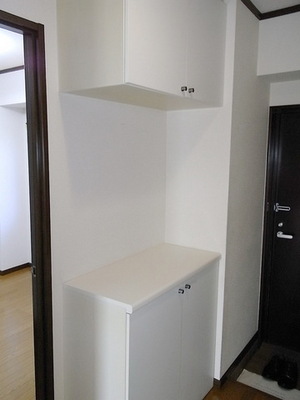 Entrance. Shelf of the entrance