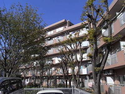 Building appearance. Beautiful appearance