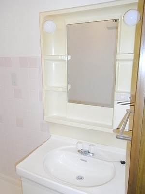 Washroom. Independent wash basin