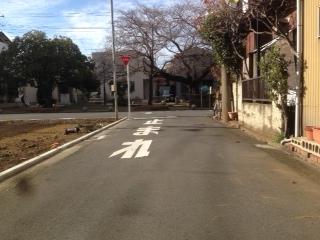 Local photos, including front road