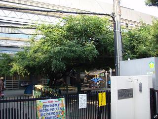 kindergarten ・ Nursery. 994m to the actual nursery of Fuji