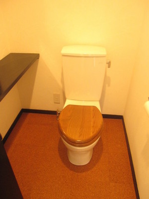 Toilet. Clean toilet