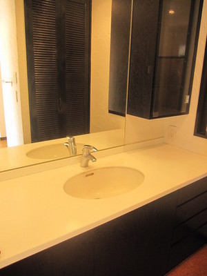 Washroom. Large independent wash basin