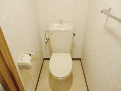 Toilet. Toilet
