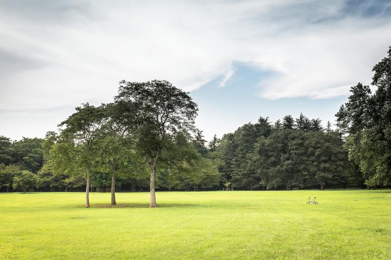park. 160m until the Tokyo Metropolitan Koganei Park