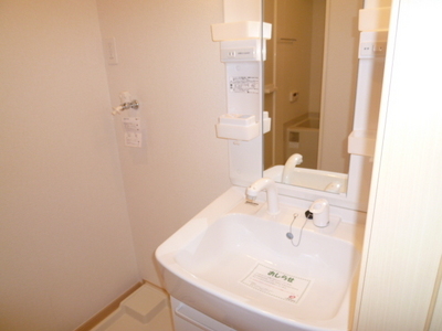 Washroom. Shampoo dresser