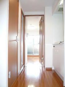 Entrance. Entrance part