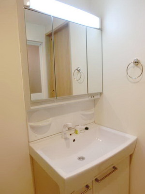 Washroom. Independent wash basin