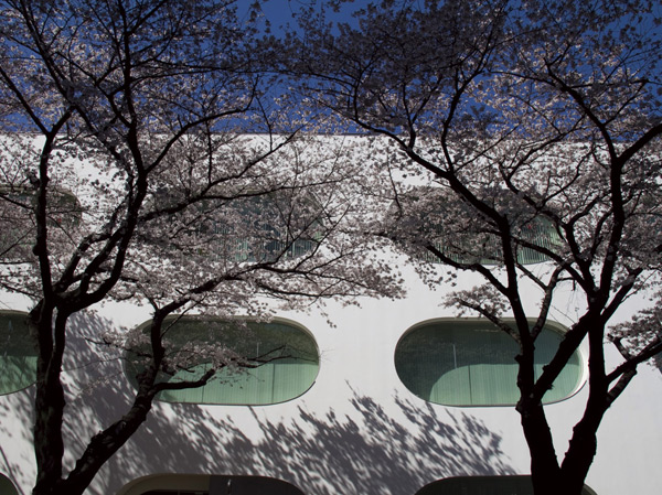 Surrounding environment. Musashino Place (about 50m ・ 1-minute walk)