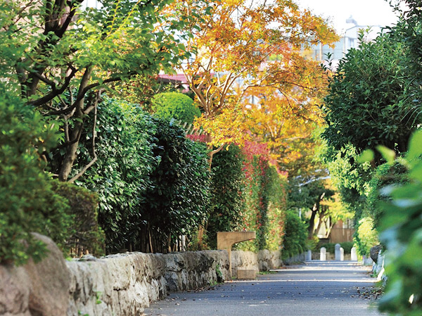 Surrounding environment. Taoyuan River green road (about 170m / A 3-minute walk)