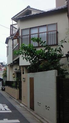 Local land photo. appearance