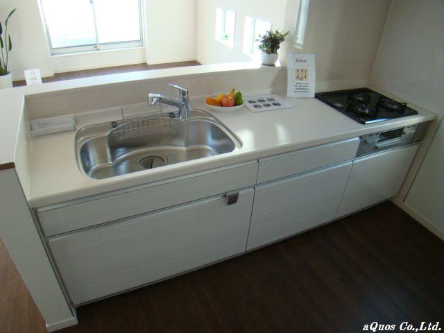 Kitchen. Indoor (11 May 2013) Shooting