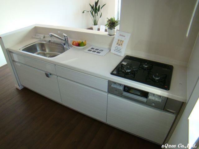 Kitchen. Indoor (11 May 2013) Shooting