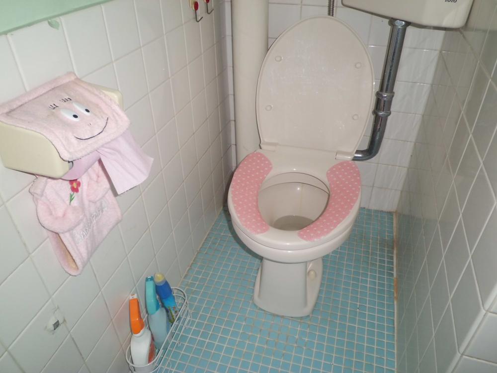 Toilet. Indoor (September 2013) Shooting
