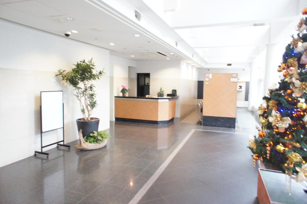 Entrance. Common areas