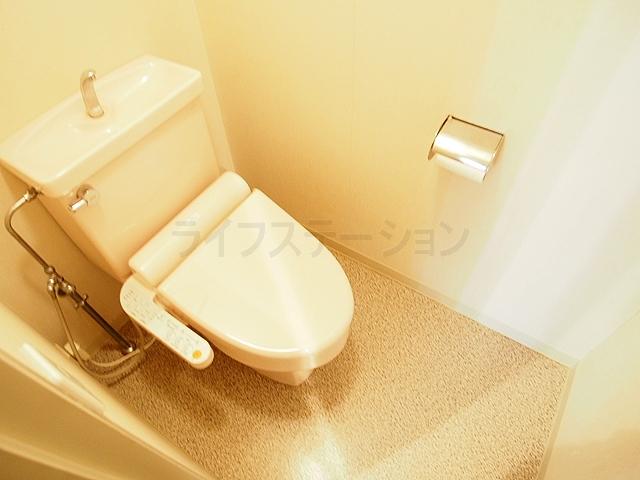 Toilet. Indoor (January 2014) Shooting