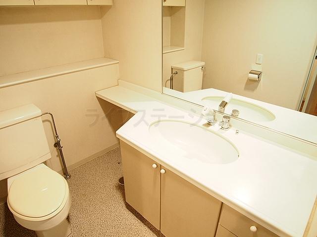Wash basin, toilet. Indoor (January 2014) Shooting