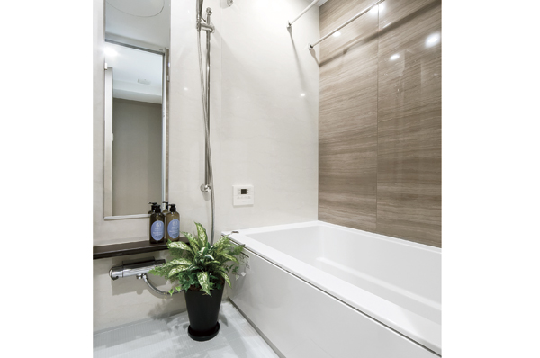 Bathroom (with bathroom dryer)