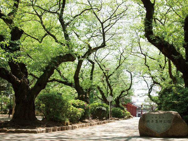 Surrounding environment. Ward Arai Yakushi park (about 960m ・ A 12-minute walk)
