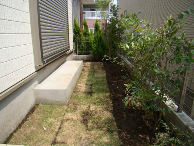 Garden. Local (August 2013) Shooting