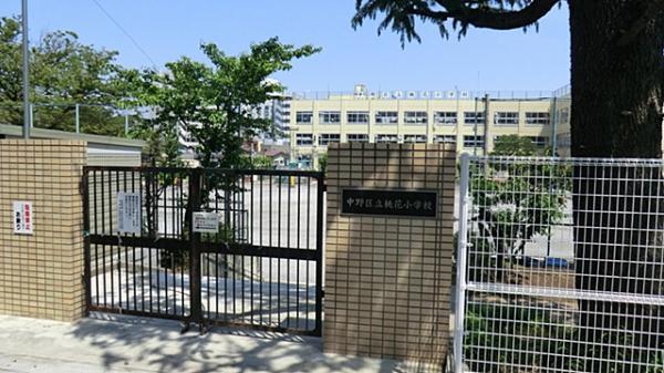 Primary school. Peach Blossom until elementary school 1100m