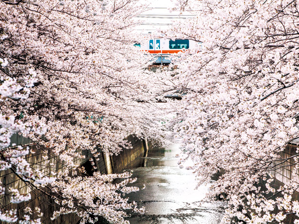 Surrounding environment. Kanda River (about 700m ・ A 9-minute walk)