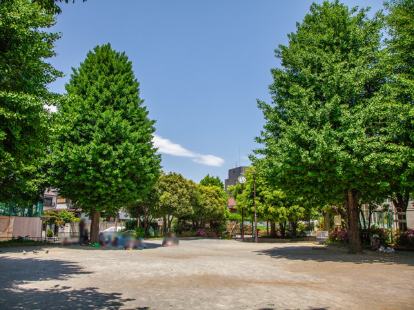 Surrounding environment. Sakurayama park (about 700m ・ A 9-minute walk)