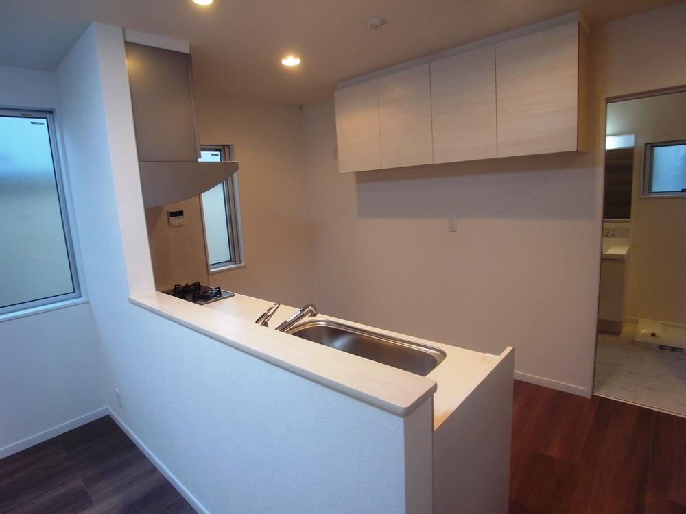 Living. Indoor (12 May 2013) Shooting