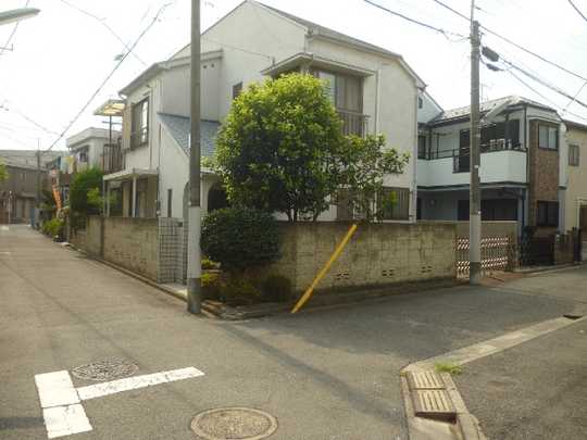 Local land photo. Appearance (1)