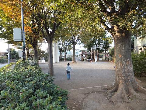 park. 830m to the upper heron park