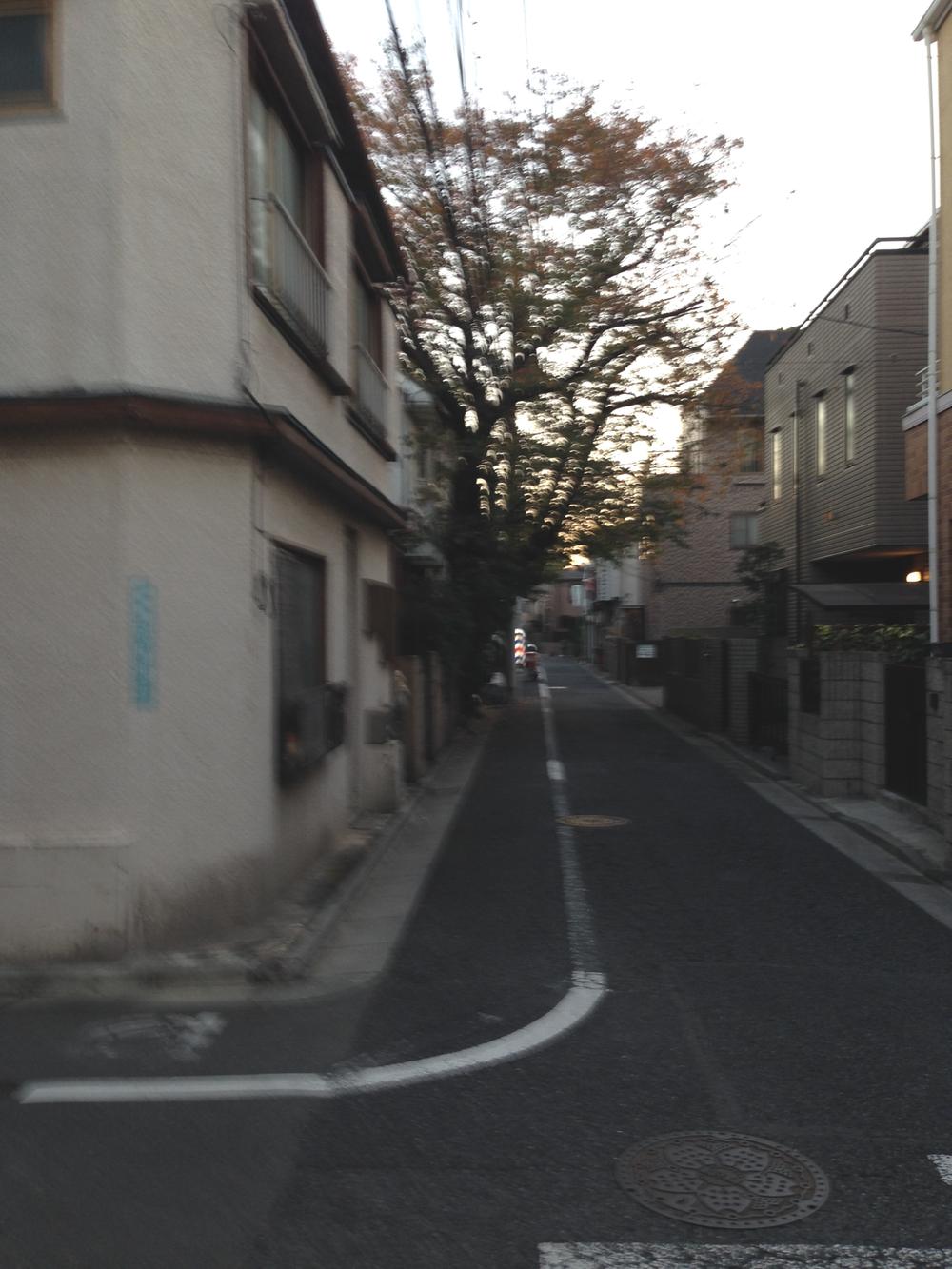 Local photos, including front road. Local (12 May 2013) Shooting