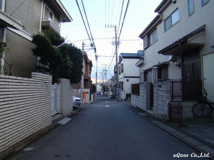 Local photos, including front road. Local (12 May 2013) Shooting