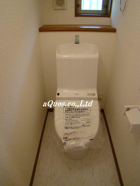 Toilet. Room (August 2013) Shooting