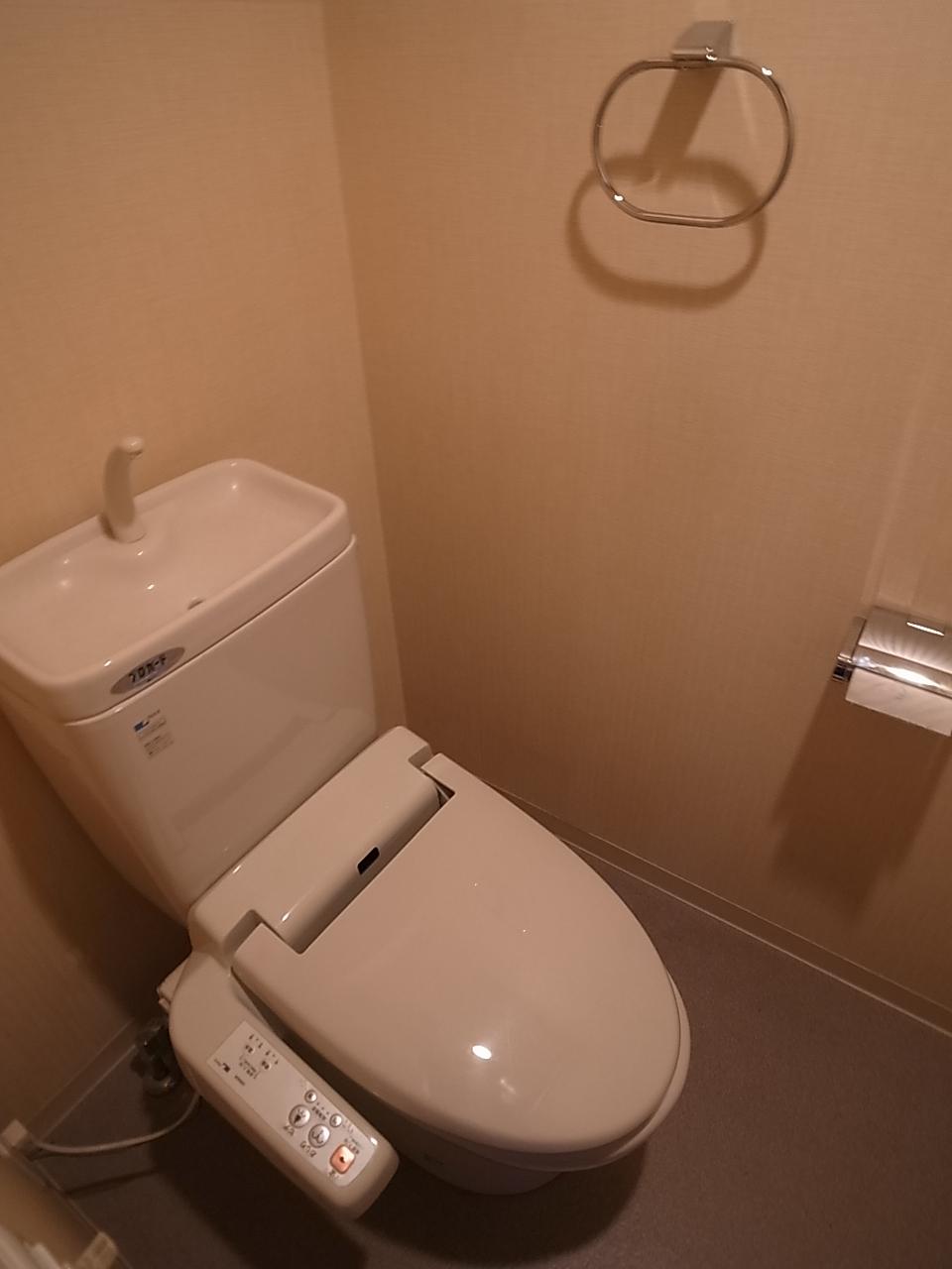 Toilet. Indoor (September 2013) Shooting