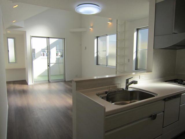 Living. Indoor (10 May 2013) Shooting