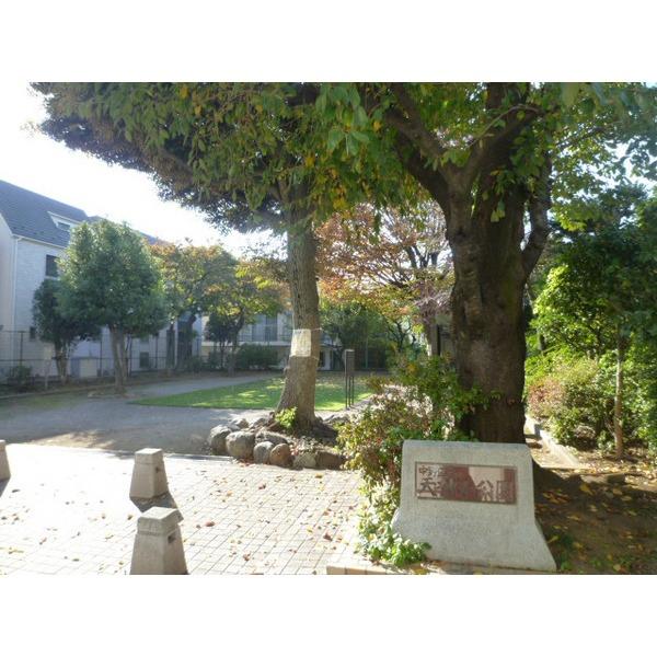 park. Nakano 1090m until the forest park of stand Nakano four seasons
