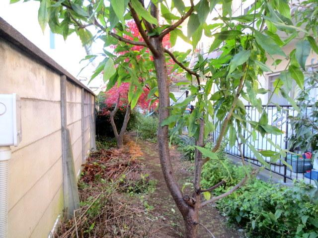 Other. North side is we missed because of the open space of the apartment.