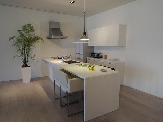 Same specifications photos (living). Reference construction cases.