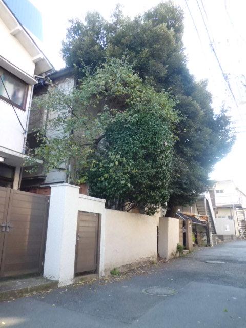 Local land photo. local [December 2013] Shooting (January dismantling start 2014)