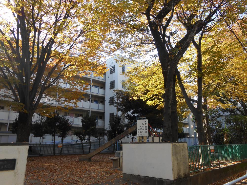 Other. About 60m to Tada park