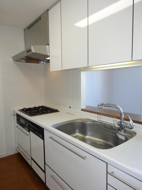 Kitchen. Indoor (12 May 2013) Shooting
