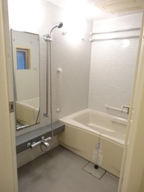 Bathroom. Indoor (12 May 2013) Shooting