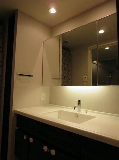 Wash basin, toilet. Convenient back also to check the dressing storage with triple mirror