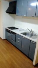 Kitchen. System kitchen, With dishwasher