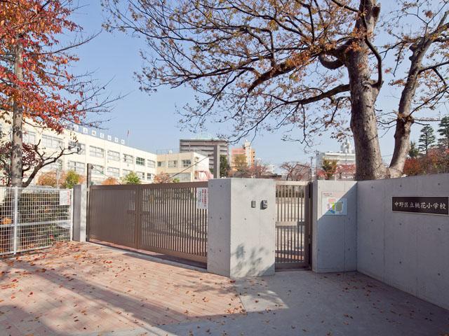 Primary school. Nakano Ward Peach Blossom to elementary school 320m