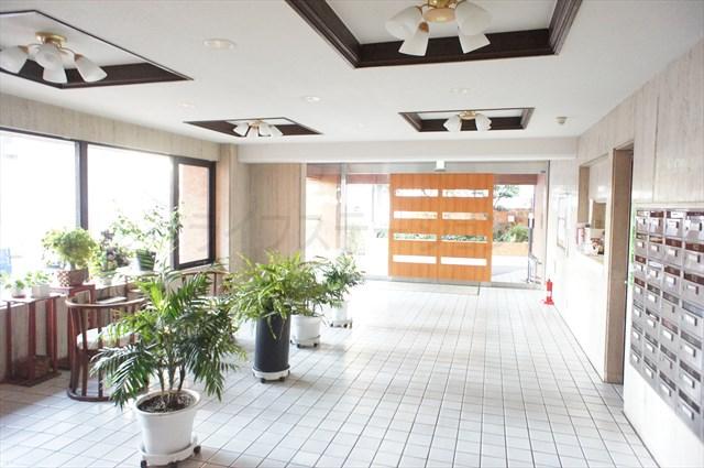 Entrance. Local (December 15, 2013) Shooting